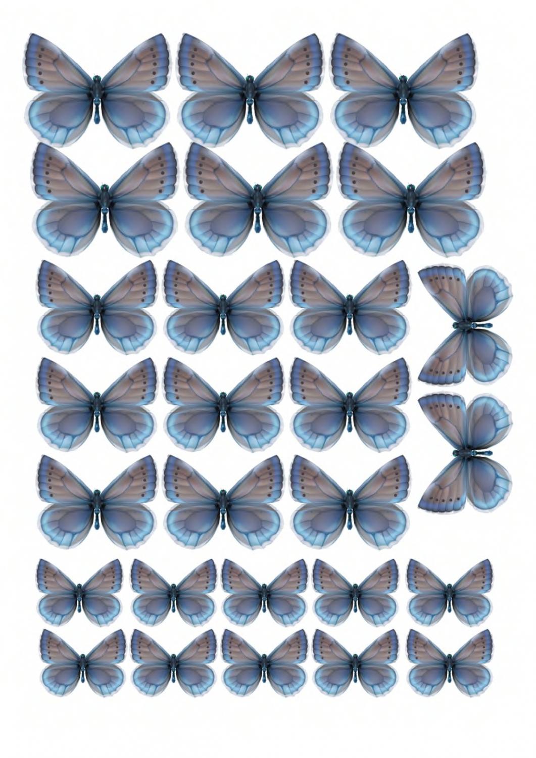 Печать на вафельной бумаге, Набор Бабочки 8
